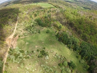 0 Lower Mudlic Rd, Mayport, PA 16240