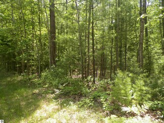 LOT 47 Bramblewood Dr, Cadillac, MI 49601