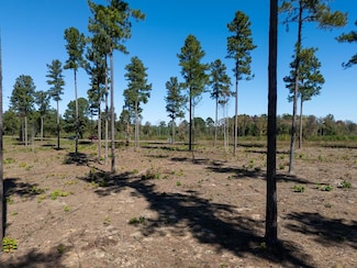 1.04 AC Christanna Hwy, Lawrenceville, VA 23868