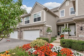 202 River Mist Ct, Oswego, IL 60543