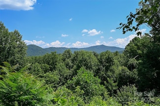 29 Grovepoint Way Unit 9, Asheville, NC 28804