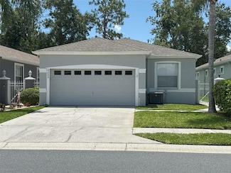 21004 Tangor Rd, Land O Lakes, FL 34637