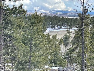 2881 Tiny Bob Rd, Red Feather Lakes, CO 80545