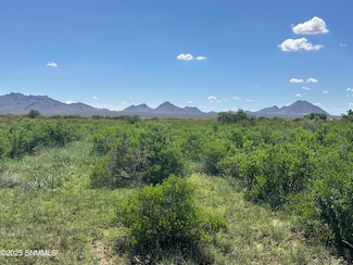 TBD Tasmania Ave, Las Cruces, NM 88012