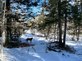 MapR3Lot36 Foxboro Rd, Lovell, ME 04051