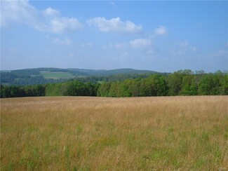 00 Ridge Rd, Cortland, NY 13045