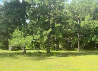 0 County Road 4067, Bon Wier, TX 75928