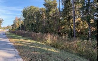 TBD SE Baxter Ln, Lake City, FL 32025