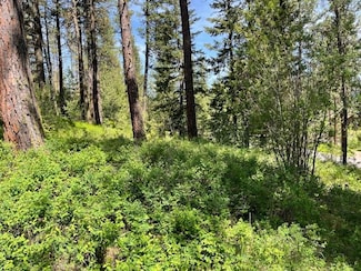 Lot 23 Hot Springs Rd Unit 23, New Meadows, ID 83654