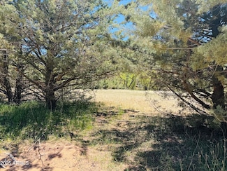000 Juniper Rd Unit 149;B, Strawberry, AZ 85544