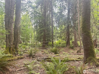 0 Black Point Ct, Brinnon, WA 98320