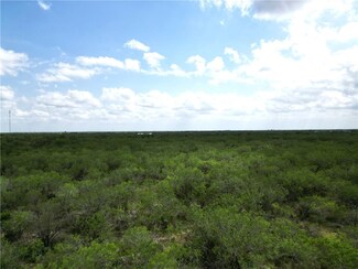0 San Diego Creek Tract 16 Unit 460208, San Diego, TX 78384