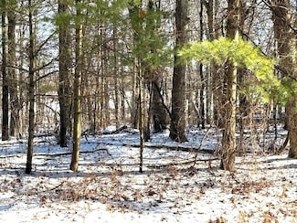 0 Otter Dr, Waupaca, WI 54981