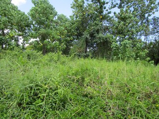 0 Kupulau Rd, Hilo, HI 96720