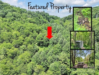 00 Mountain Glen Rd, Canton, NC 28716