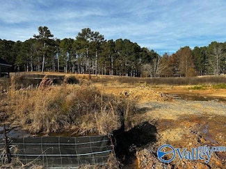 Lot 10 Cherokee Ridge Dr, Cherokee Ridge, AL 35175