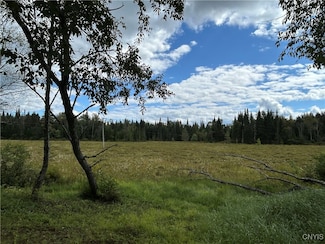 1406 Gray Wilmurt Rd, Cold Brook, NY 13324