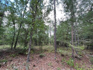6101 Juilliard Ave, Keystone Heights, FL 32656