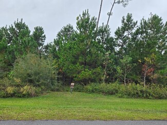 Lot 175 Widewater Cir, Wewahitchka, FL 32465