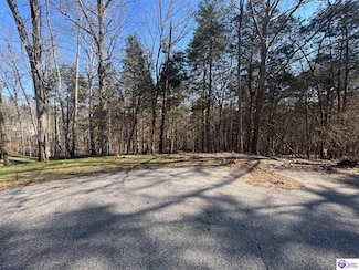 Lot 56 Bluebird Rd, Doe Valley, KY 40108