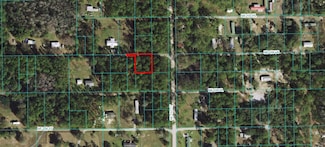 00 NE 156th Ln, Fort Mc Coy, FL 32134