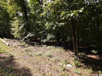 Lot 25 Imogene Dr, Gilbertsville, KY 42044