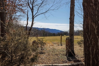 TBD Hollow Rd, Fulks Run, VA 22830