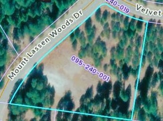 Lot 1 Mount Lassen Woods Dr, Shingletown, CA 96088