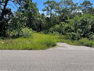 18904 Craig Loop, Hudson, FL 34667