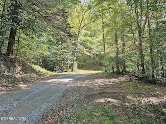 118AC Mill Hollow Rd, Tazewell, TN 37879