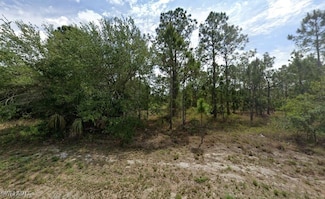 933 Memphis Ave, Lehigh Acres, FL 33974