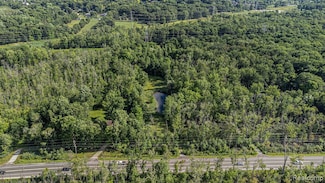 00 Waldon Rd, Independence Charter Township, MI 48348