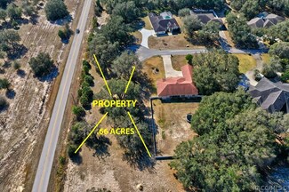 9893 E Tryon Ct, Inverness, FL 34450