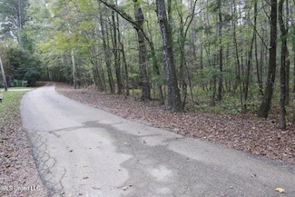 0 Westline Lots Dr, Madison, MS 39110