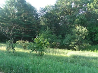 L4 Oak St, Montello, WI 53949