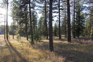 Lot 38 White Tail Ct Unit 38, New Meadows, ID 83654