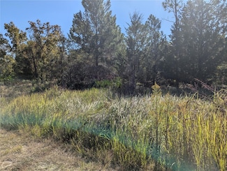 11240 Fool Duck Ave, Weeki Wachee, FL 34613