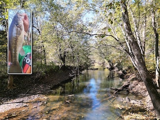 1462 Keystone Rd, Vinton, OH 45686