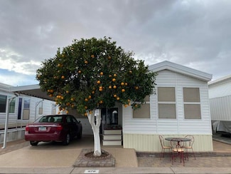 702 S Meridian Rd Unit 976, Apache Junction, AZ 85120