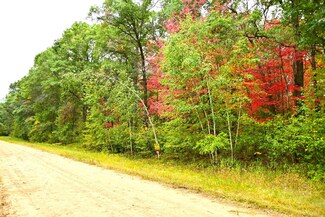 Lot 21 Block 2 Olaf Trail, Moran Township, MN 56438