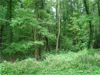 0 Log City Rd Unit R168150, Starkey, NY 14837