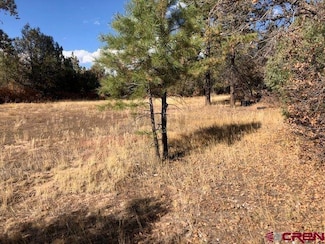 101 Ivan's Ct, Pagosa Springs, CO 81147