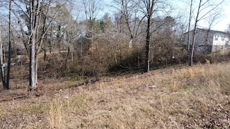 39 Idlewild Dr, White Pine, TN 37890