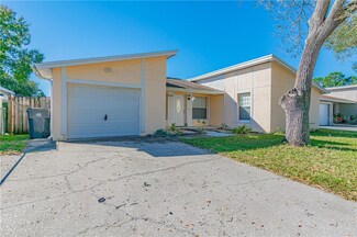 10214 Wilcox Ct, Tampa, FL 33615