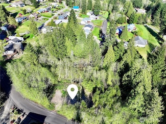 1 Dolce Ln, Elma, WA 98541