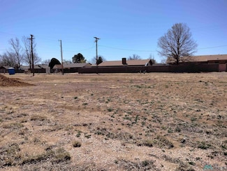 1515 Arbor Dr, Clovis, NM 88101