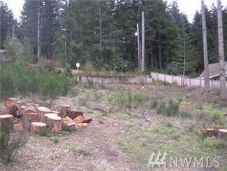111 E Olympic Dr, Grapeview, WA 98546