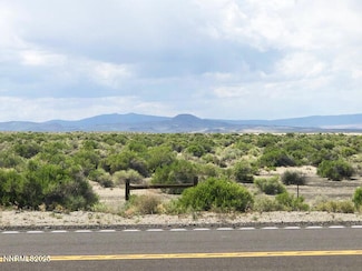 0 N Hwy 95 Unit 250006445, Fallon, NV 89406