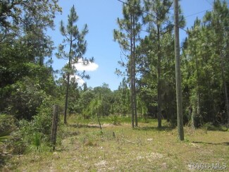 0 Rose Unit 718558, Inglis, FL 34449