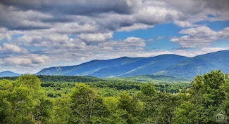 0 Route 23c Unit 153665, Prattsville, NY 12468